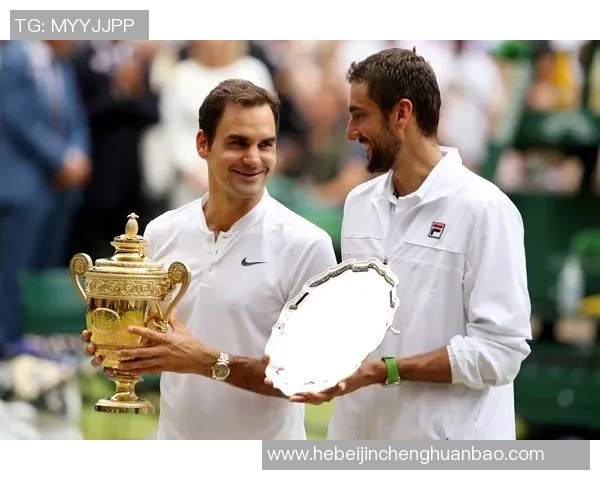 西里奇与费德勒的巅峰对决回顾与精彩瞬间分析